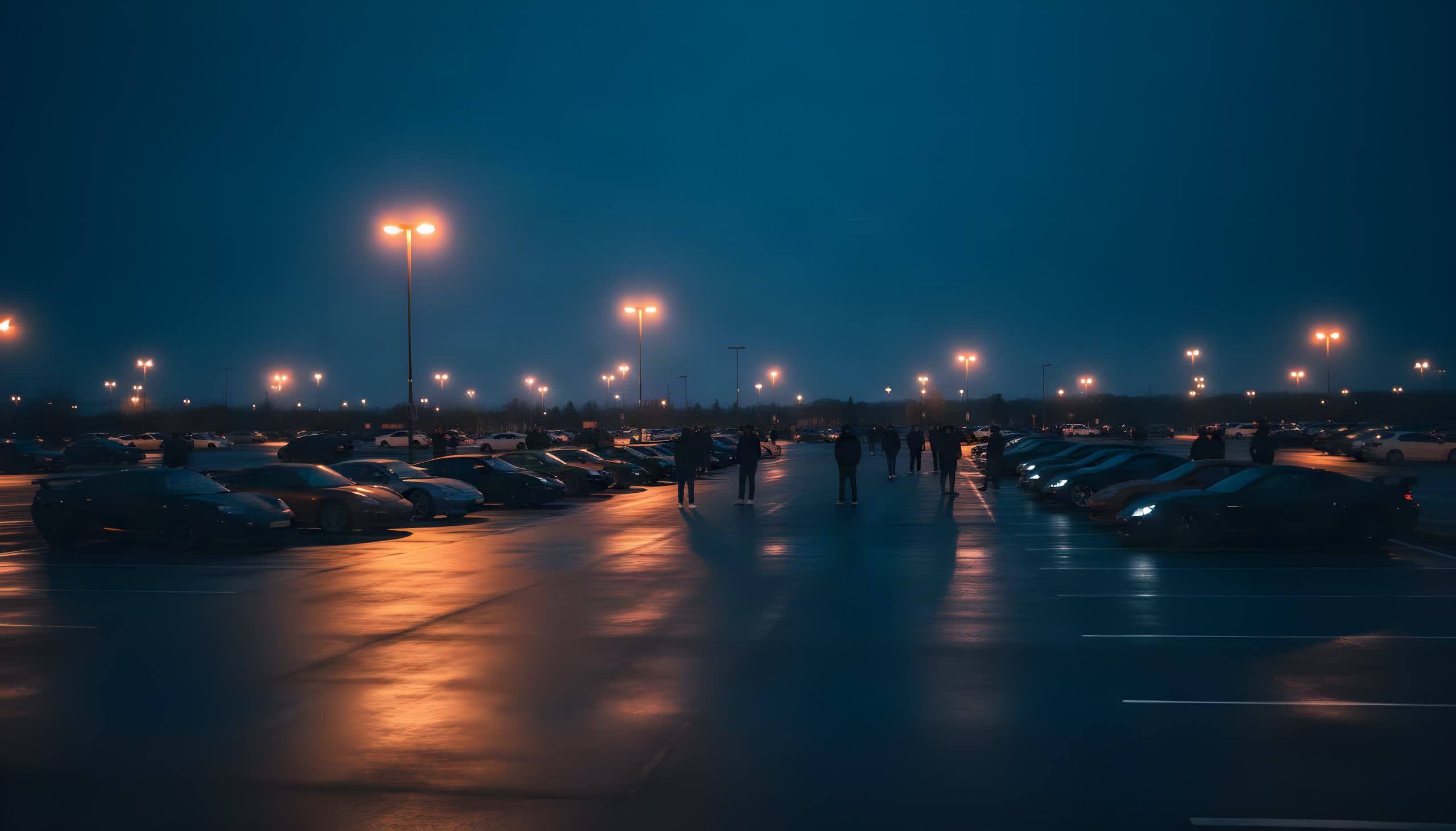 Night meet — cars lined up on wet asphalt under amber lot lights